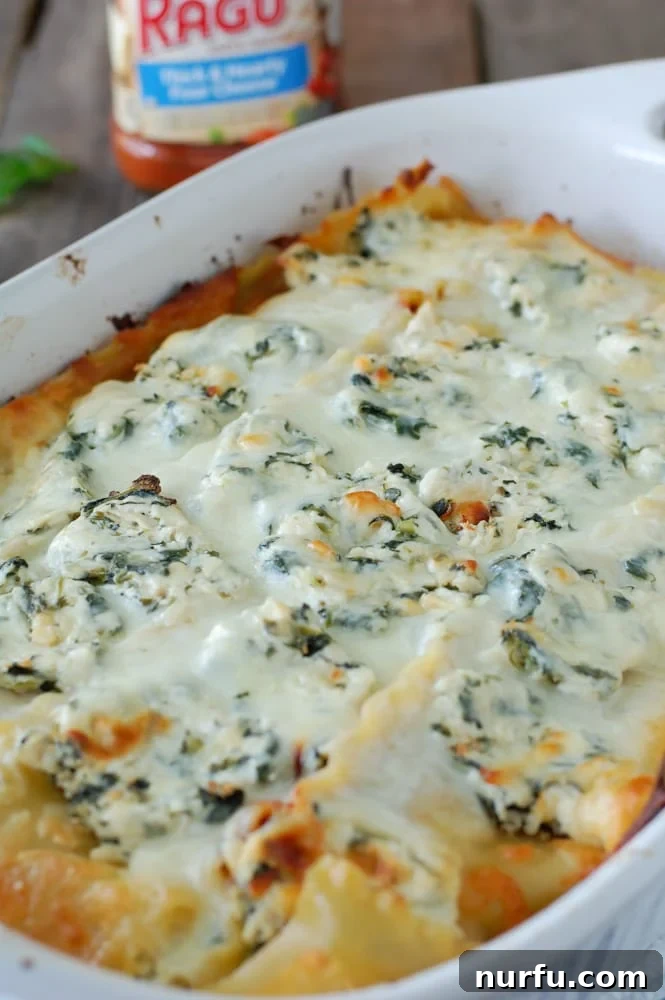 Rich Tomato Chicken Lasagna 4 Hot, bubbly chicken lasagna fresh from the oven, still in its casserole dish.