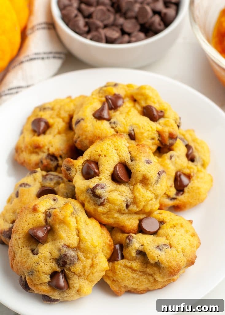 Spiced Pumpkin Chocolate Chip Cookies 5 A beautifully presented plate of warm, soft pumpkin chocolate chip cookies, ready to be enjoyed, with a cozy autumn backdrop.