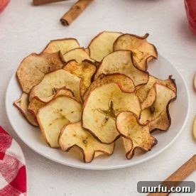 A bowl brimming with perfectly toasted air fryer apple chips, lightly dusted with cinnamon.