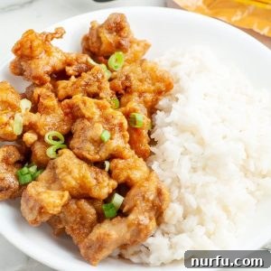 Bowl of fried chicken and rice.