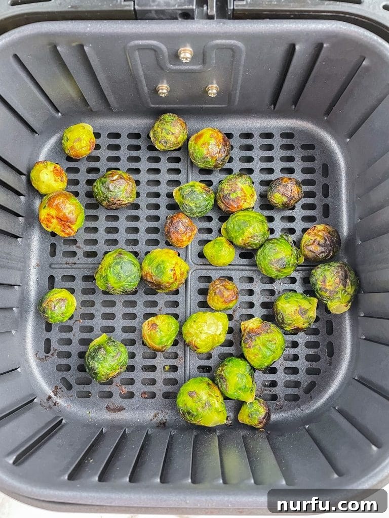 Crispy Air Fryer Frozen Brussels Sprouts Made Easy 6 Roasted brussels sprouts in an air fryer basket, ready to be seasoned and served.