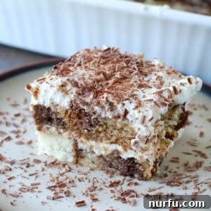 Piece of chocolate and vanilla cake on plate.