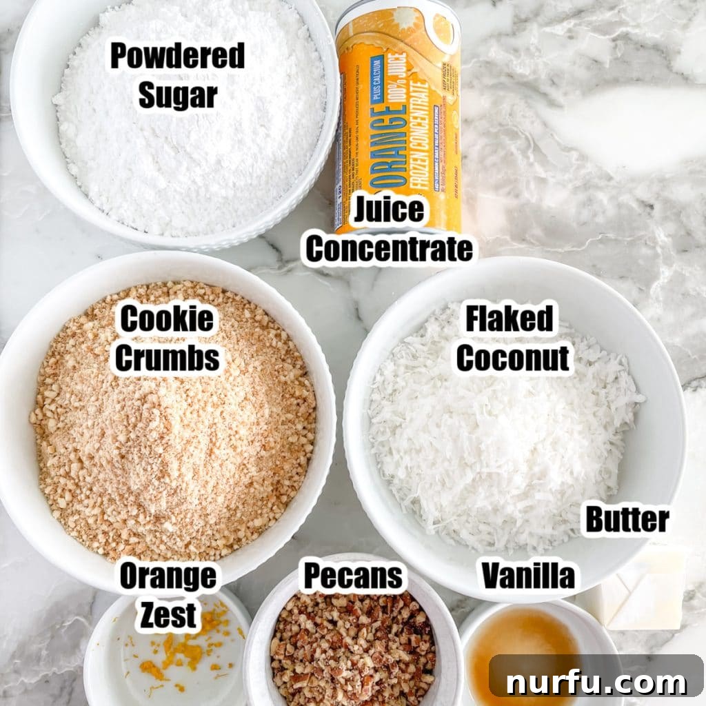 Zesty Orange Coconut Delights 3 A selection of key ingredients for Orange Coconut Balls laid out on a surface, including a bowl of powdered sugar, cookie crumbs, sweetened coconut flakes, vanilla extract, and softened butter, ready for mixing.