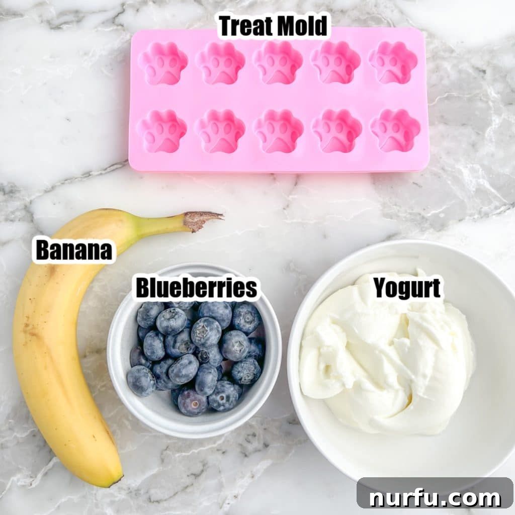 Pupsicles 3 Silicone paw print mold, banana, blueberries, and yogurt.
