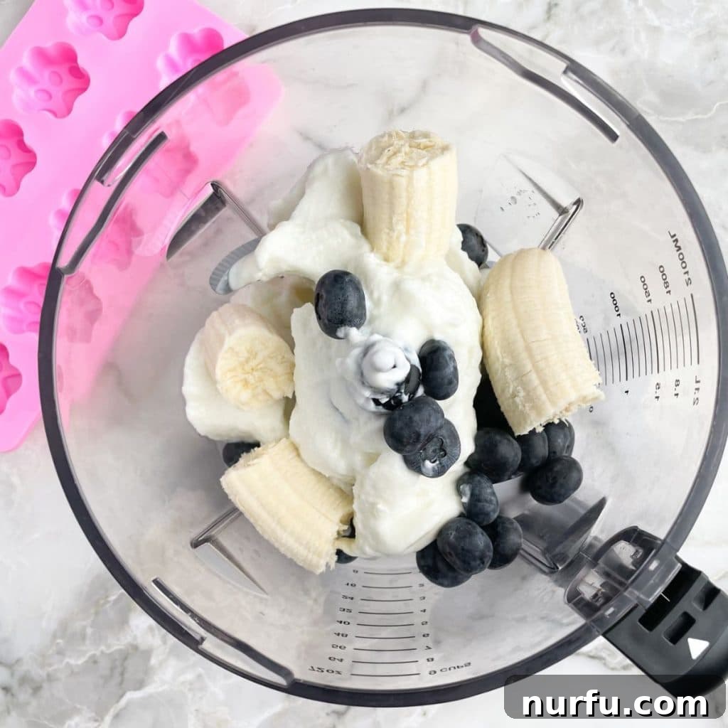 Pupsicles 4 Food processor with banana, blueberry, and yogurt.