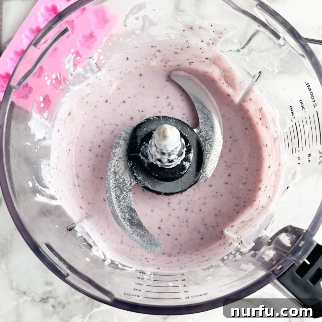 Pupsicles 5 Food processor with blended yogurt.