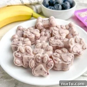 Plate of frozen dog treats.
