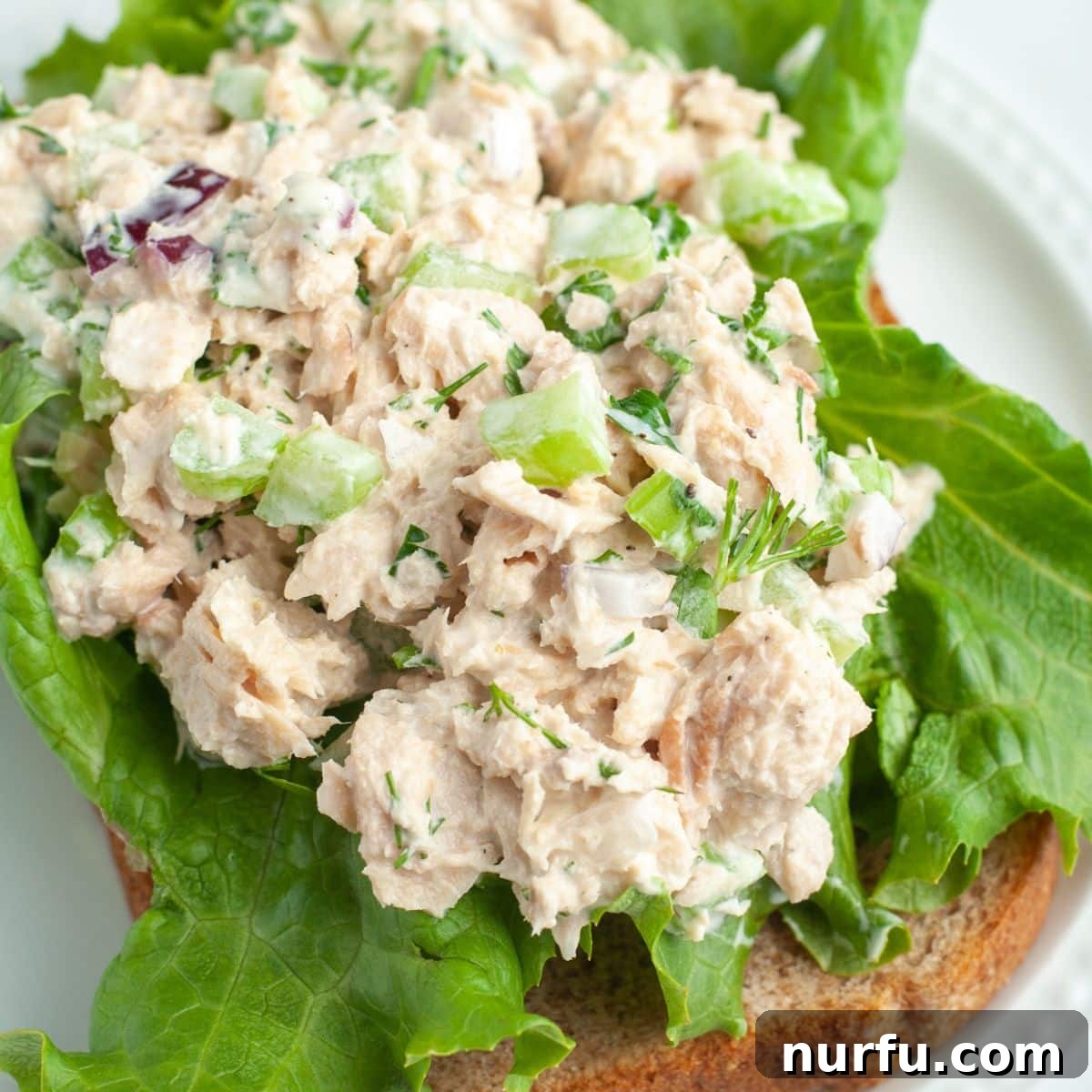 50 Refreshing Cold Lunch Ideas 15 Fresh salmon salad served on a crisp lettuce leaf and on whole wheat bread, a healthy alternative to tuna.
