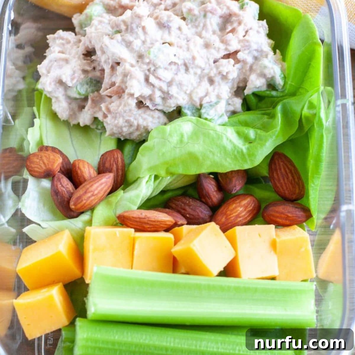 50 Refreshing Cold Lunch Ideas 8 Tuna salad meal prep container with cheese cubes, celery sticks, and nuts, offering a healthy and protein-rich lunch option.