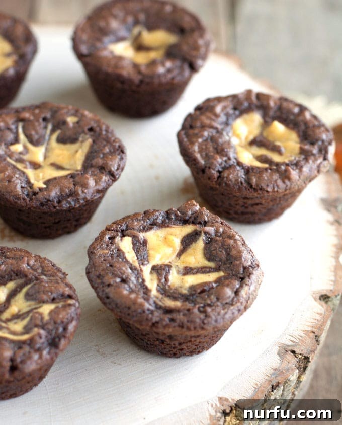 Pumpkin Cheesecake Swirl Brownies - Easy Party Dessert A tray of pumpkin cheesecake brownie bites with visible swirls, ready to be served at an autumn celebration.