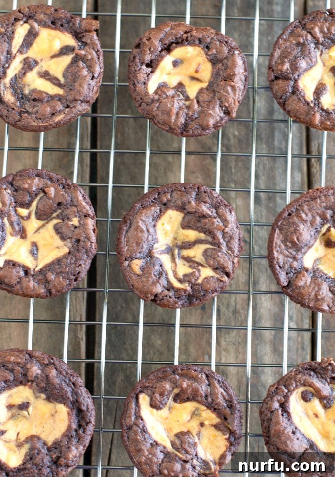 Fudgy Pumpkin Cheesecake Brownie Bites 2 Several pumpkin cheesecake brownie bites cooling on a wire rack, showing the intricate pumpkin swirl.