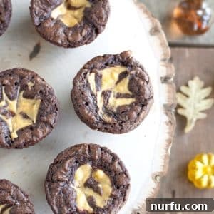 Fudgy Pumpkin Cheesecake Brownie Bites 3 Delicious brownie bites with a swirl of pumpkin cream cheese.