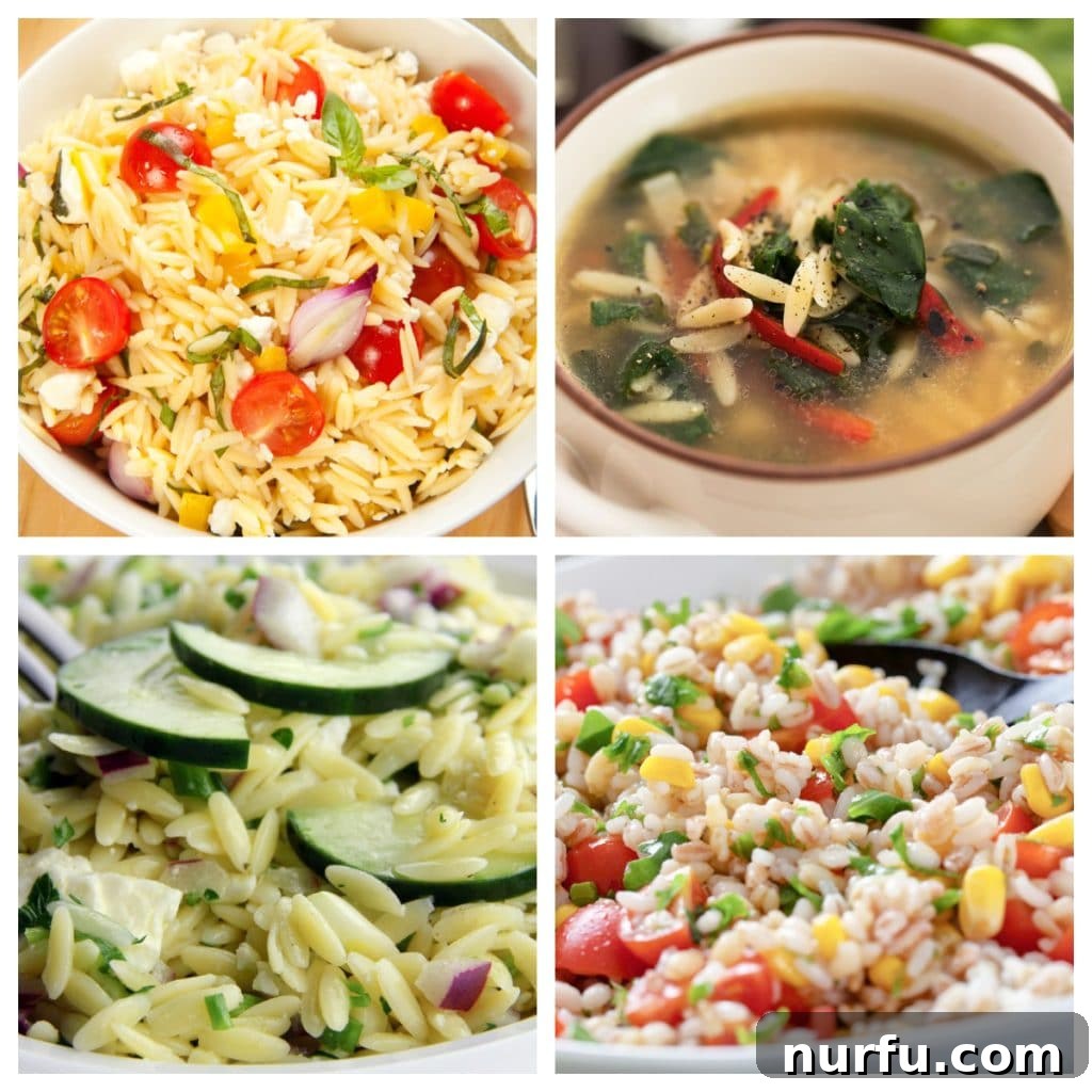 45 Delicious Orzo Creations 2 Bowl of soup, zucchini orzo, and tomato orzo.