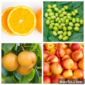 The N-Fruit Collection: 21 Varieties 3 Orange, plum, and nectarines.