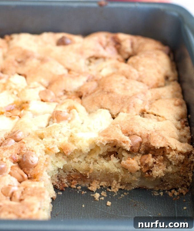 Cake in pan Freshly baked apple cake cooling in a pan, with a golden-brown crust and visible chips.