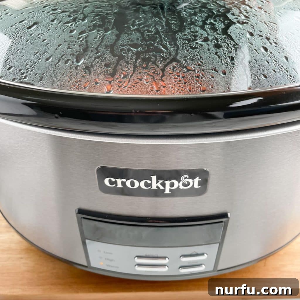Crockpot Frozen Meatballs: Your Guide to Perfect Timing 5 Sliver crockpot.