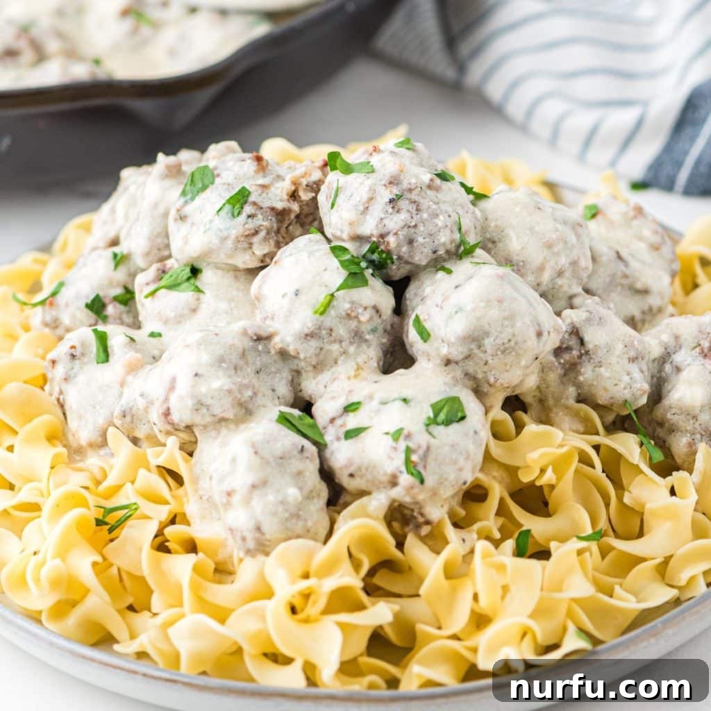 Irresistible Swedish Meatballs 2 Bowl with egg noodles and Swedish meatballs, garnished with fresh parsley.