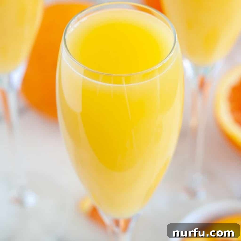 An elegant glass filled with a non-alcoholic mimosa, sparkling and inviting with an orange slice garnish.
