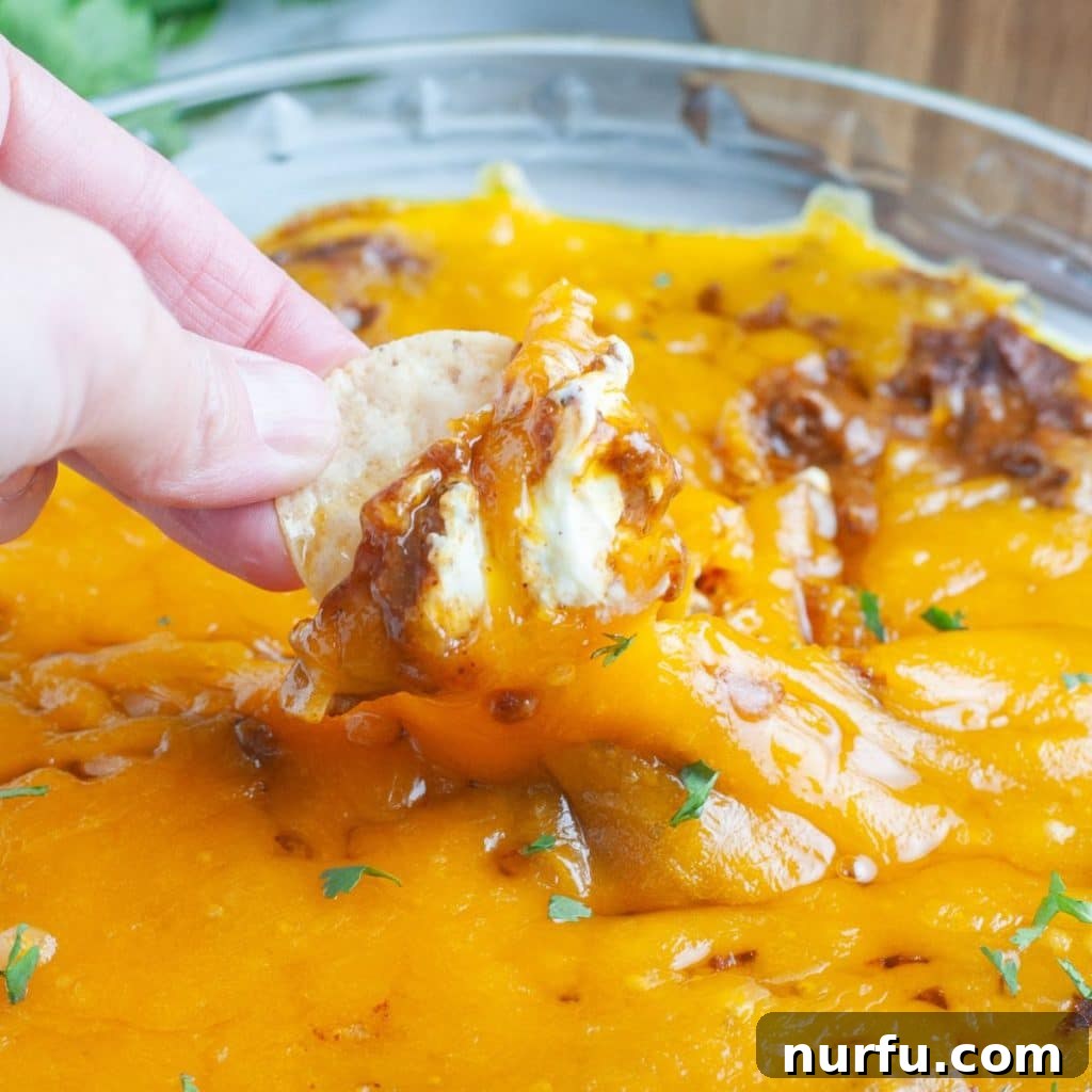 Spicy Cheese Dream 2 Hand holding chip with chili cheese dip.