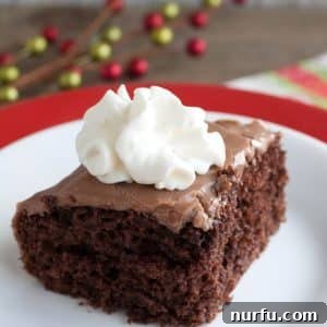 Ultimate Hot Chocolate Poke Cake 2 A piece of chocolate cake on a plate