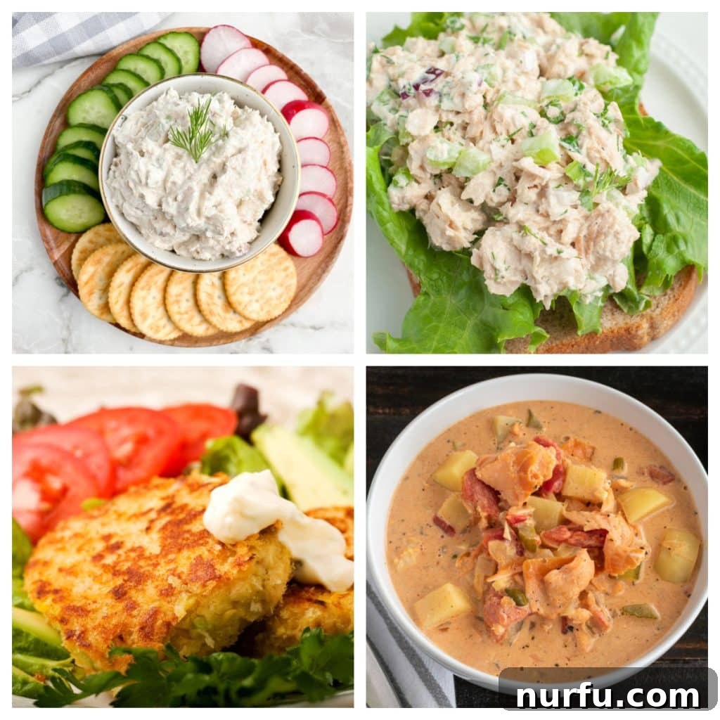 Quick & Delicious Canned Salmon Recipes You'll Love 2 A vibrant collage featuring diverse canned salmon dishes: creamy salmon dip, fresh salmon salad, crispy salmon cakes, and a rich salmon chowder, showcasing the versatility of canned salmon recipes.
