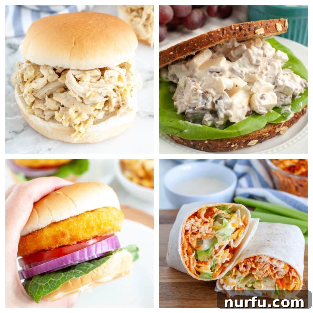 31 Mouthwatering Chicken Sandwich Creations You Need to Try 2 An array of delicious chicken sandwiches, including shredded chicken, chicken salad, chicken wrap, BBQ chicken, grilled chicken, and fried chicken sandwiches. These top-rated recipes are sure to satisfy any craving.
