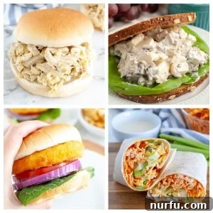 31 Mouthwatering Chicken Sandwich Creations You Need to Try 3 Shredded chicken sandwich, chicken salad, chicken wrap.