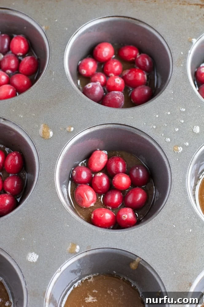 Tangy Cranberry Orange Mini Upside-Downs 3 Muffin tin with butter, brown sugar, and cranberries in each cup, ready for cake batter.