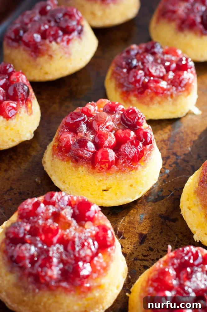 Tangy Cranberry Orange Mini Upside-Downs 5 Small cakes topped with vibrant cranberries and a golden caramel glaze, freshly inverted onto a baking sheet.
