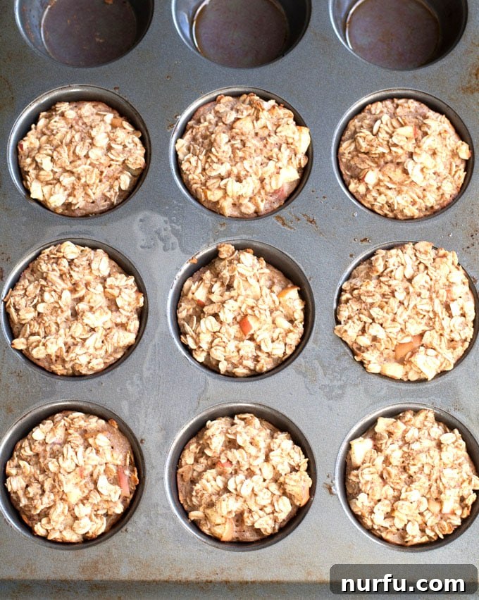 apple cinnamon baked oatmeal cups Freshly baked apple cinnamon oatmeal cups cooling in a muffin tin.