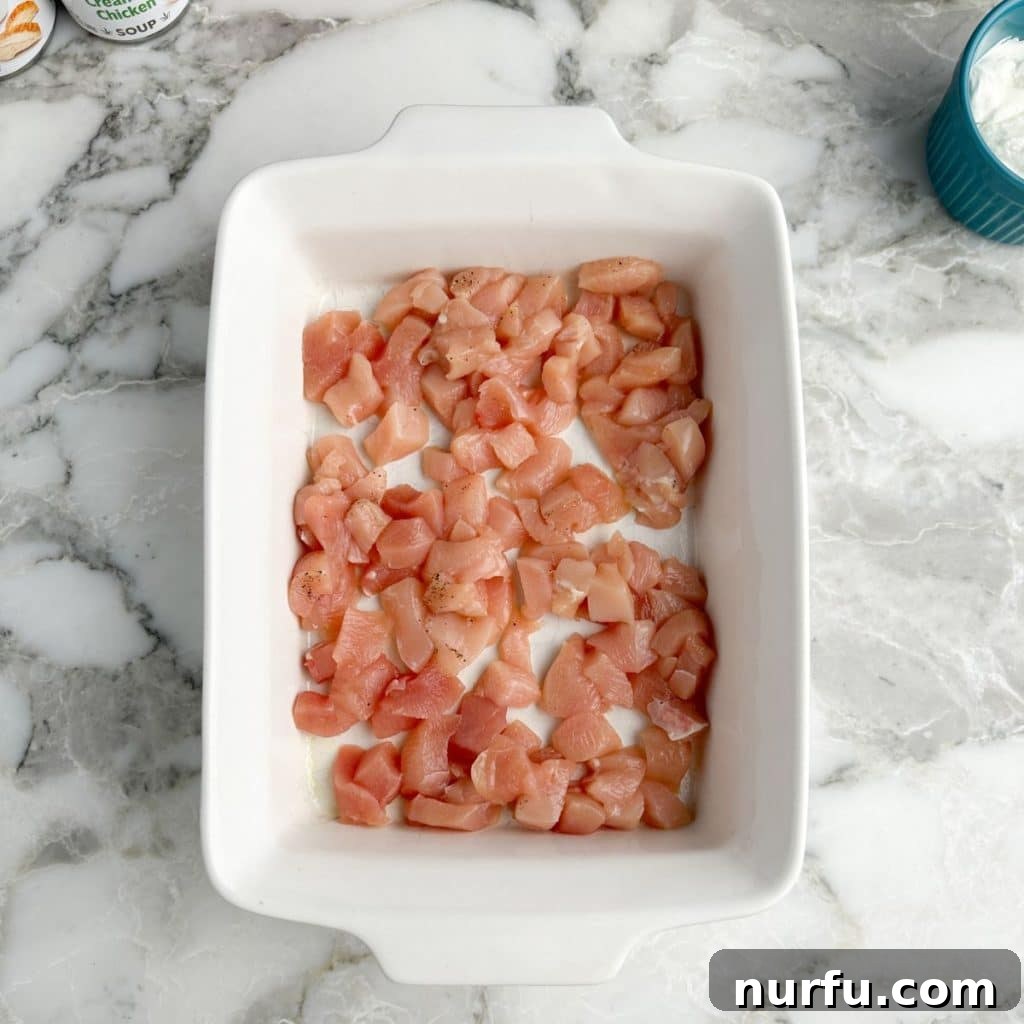 Quick Chicken and Stuffing Casserole 4 Casserole dish with diced chicken.