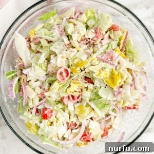 Bowl with an Italian salad.