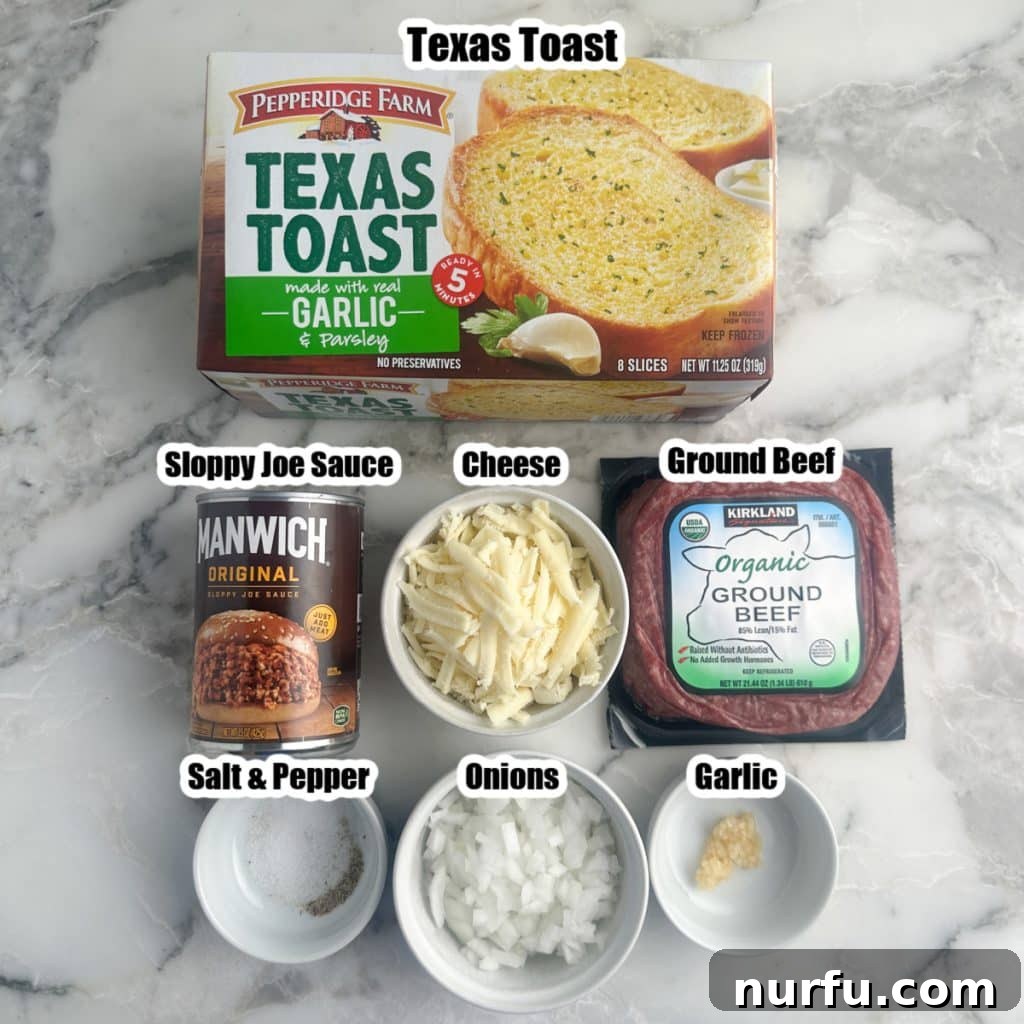 Ultimate Texas Toast Sloppy Joes 3 A visual display of the key ingredients for Texas Toast Sloppy Joes, including a box of frozen Texas toast, a can of sloppy joe sauce, shredded cheese, ground beef, and fresh onions.