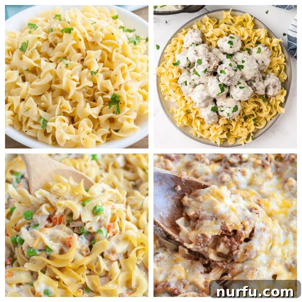 The Definitive Egg Noodle Recipe Collection 2 A vibrant collage of delicious egg noodle dishes, featuring creamy Swedish meatballs over noodles, a rich beef stroganoff, and a comforting chicken noodle casserole, highlighting the versatility and appeal of egg noodles in various recipes.