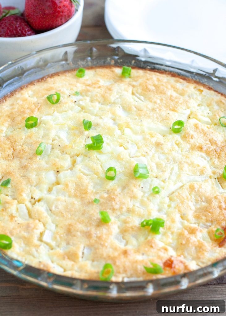 Baked crustless quiche A golden-brown baked crustless quiche fresh out of the oven, still in its pie dish.