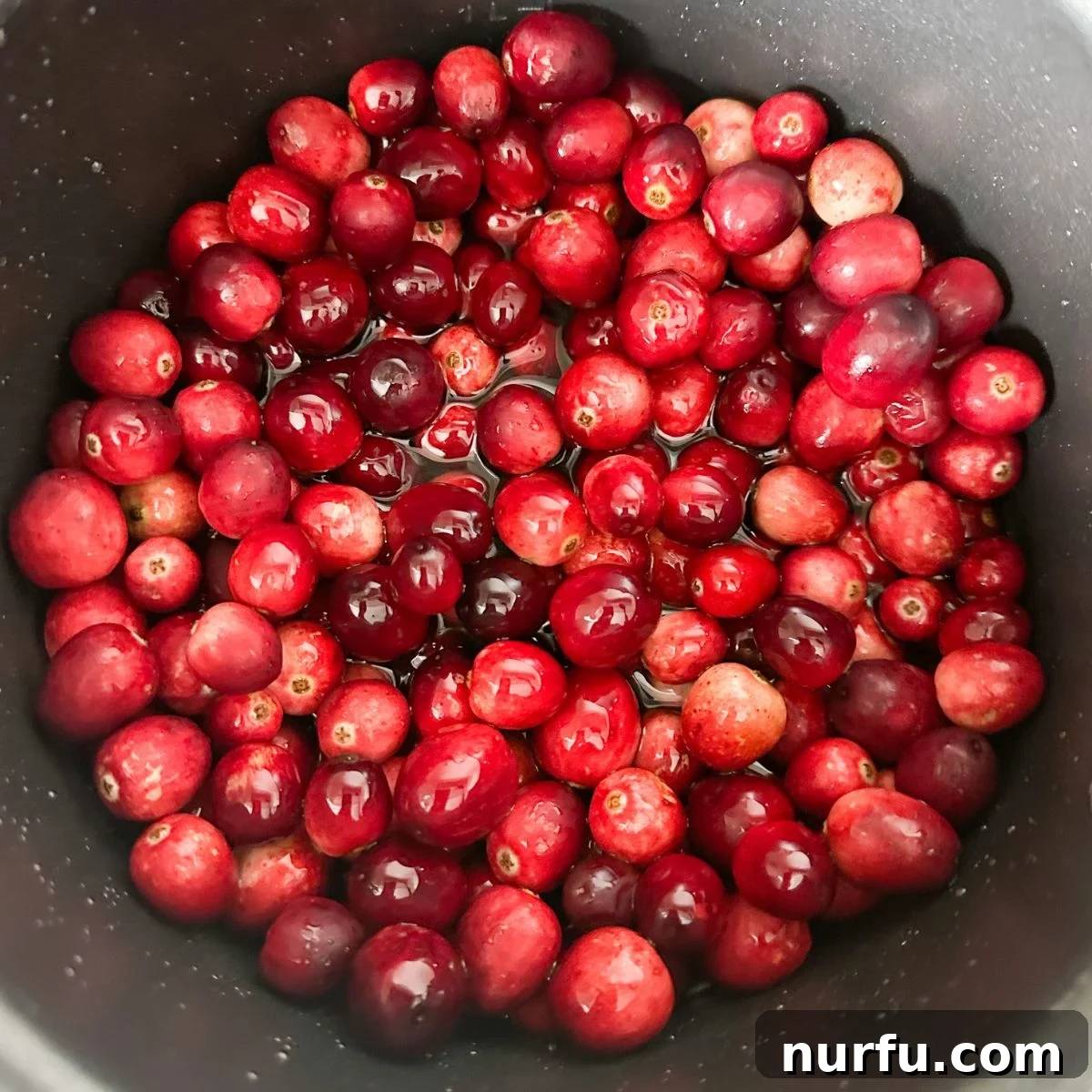 Sweet Sparkle Cranberries 4 Pot with cranberries coated in simple syrup.