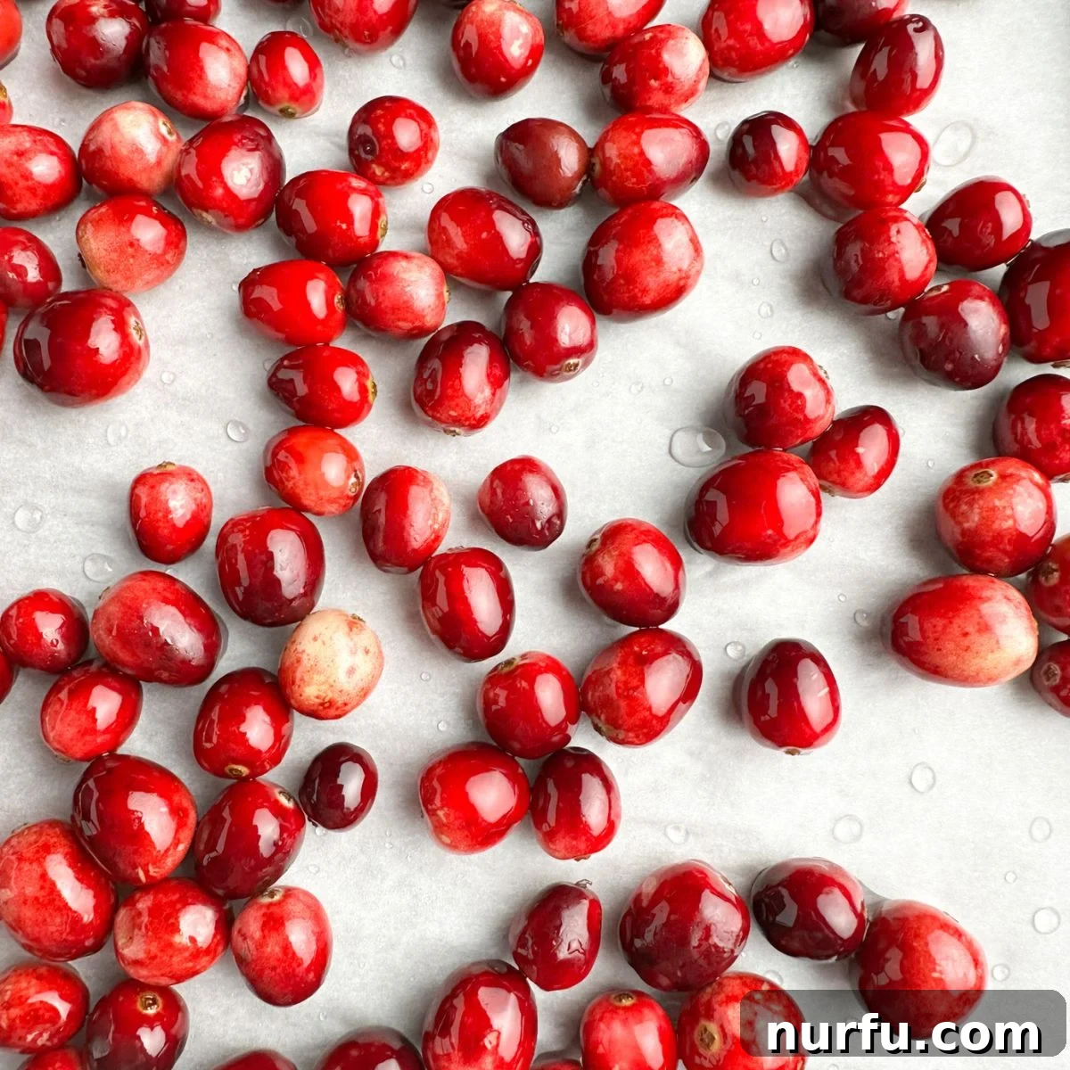 Sweet Sparkle Cranberries 5 Cranberries drying on parchment paper on a baking sheet.