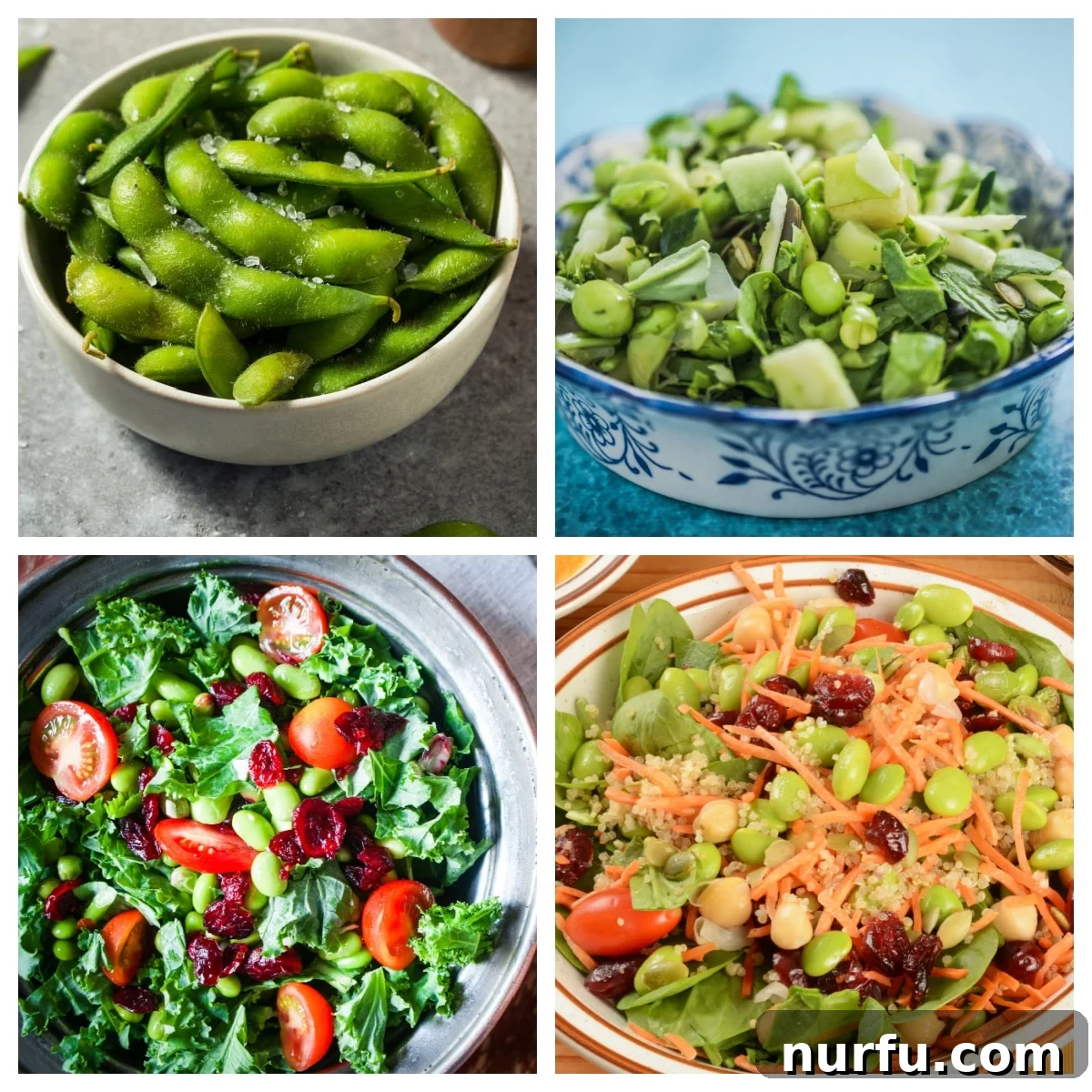 21 Must-Try Edamame Recipes 2 A trio of delicious edamame dishes: a bowl of steamed edamame, a fresh edamame salad, and a colorful edamame stir-fry, highlighting its versatility in meals.