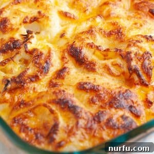 Tennessee's Onions 7 Casserole dish with cheesy onions.