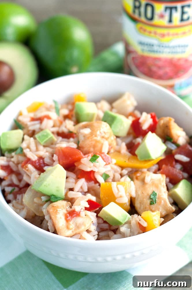 Zesty Fajita Chicken Rice Bowl 5 A beautifully presented Chicken Fajita Rice Bowl, highlighting its bold and flavorful appeal for families.