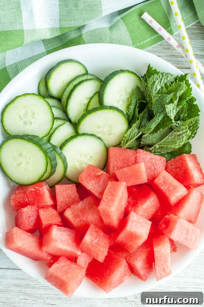 Watermelon chunks, cucumber slices, and mint leaves ready for infusing.