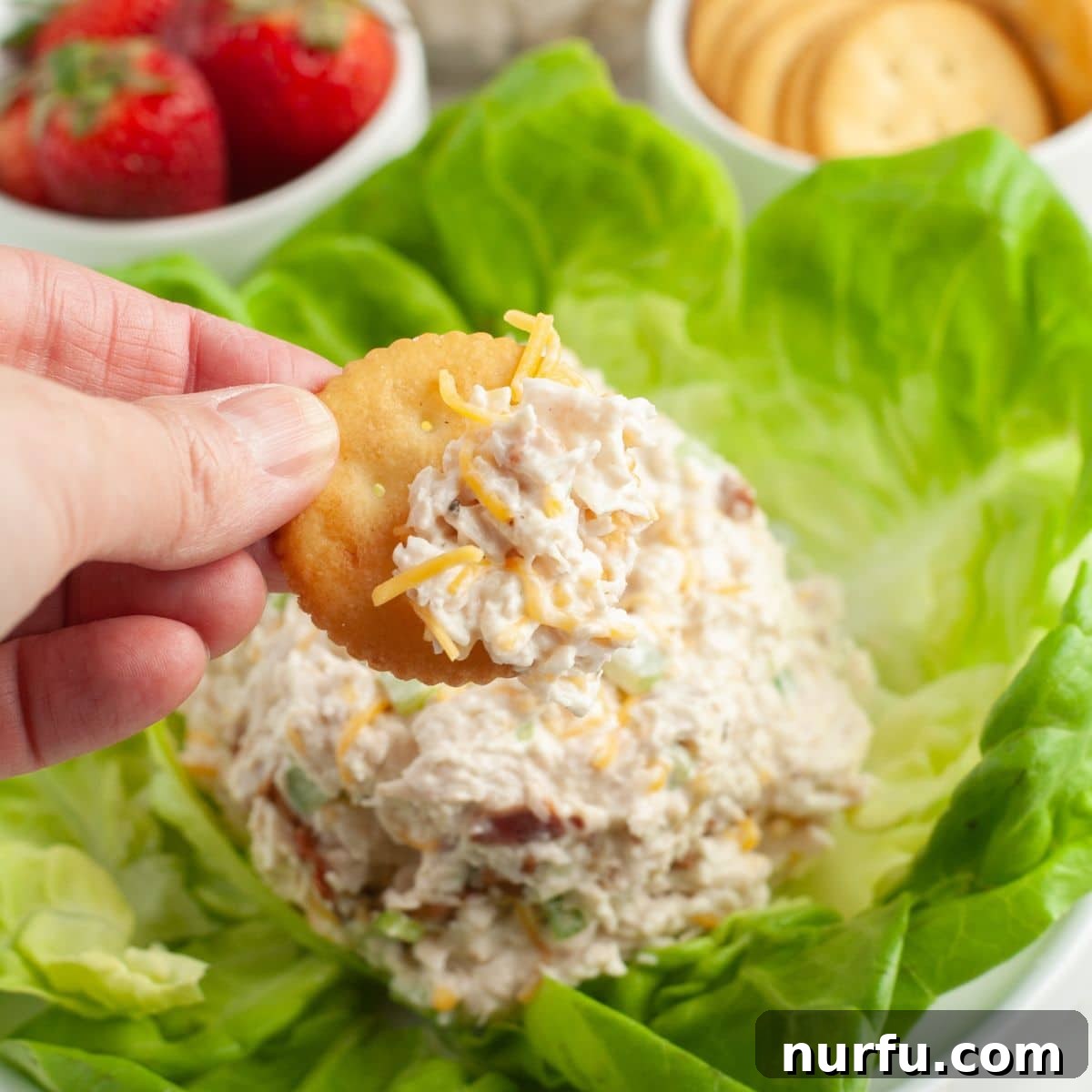 Homemade Sassy Scotty Chicken Salad 8 A perfectly portioned scoop of Sassy Scotty chicken salad, elegantly served on a crisp bed of lettuce, accompanied by a golden cracker, showcasing a light and refreshing serving option.