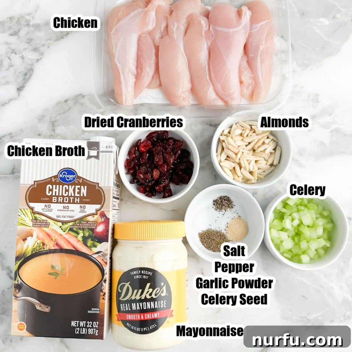 Homemade Cranberry Kelli Chicken Salad 3 Arrangement of fresh ingredients: cooked chicken, chicken broth, bowl of dried cranberries, slivered almonds, diced celery, mayonnaise, and a selection of seasonings.