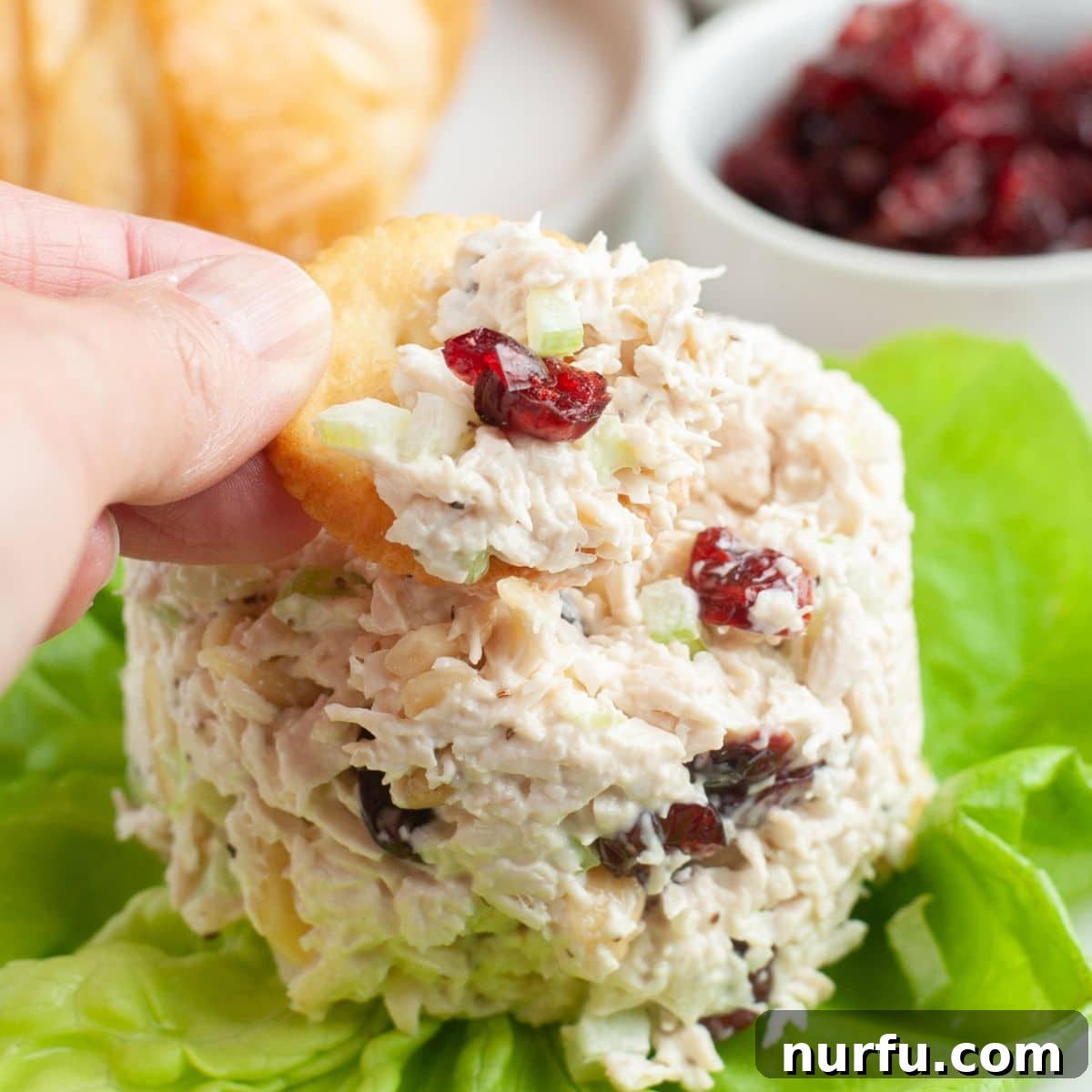 Homemade Cranberry Kelli Chicken Salad 6 A serving of cranberry almond chicken salad on a bed of lettuce with a side of crackers.
