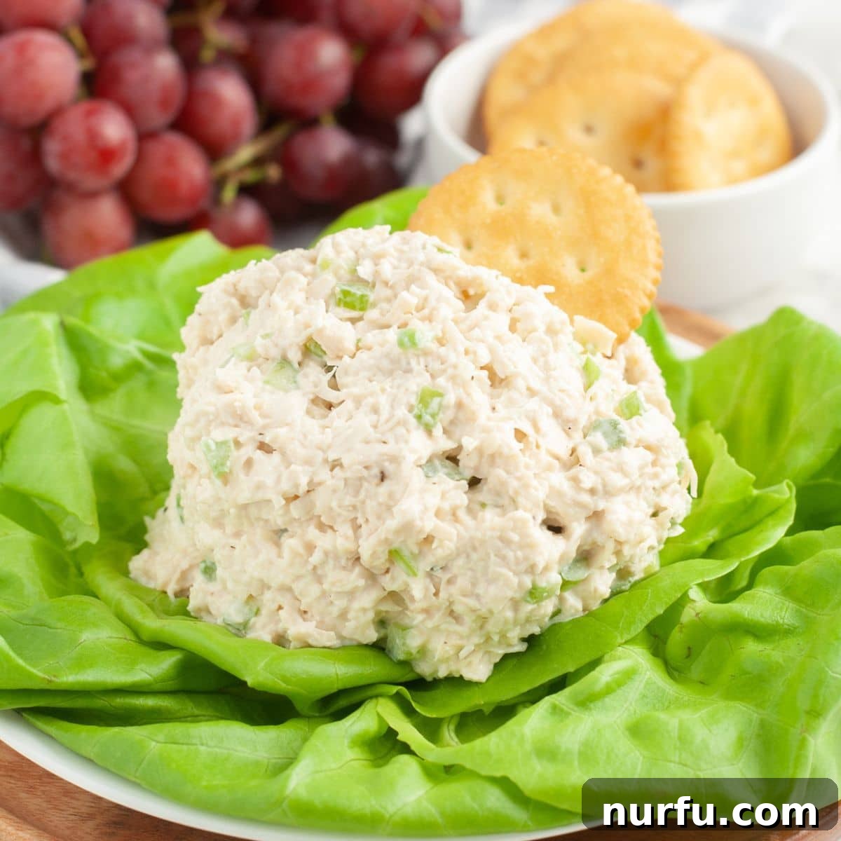 Homemade Classic Carol Chicken Salad Chick 6 Chicken salad on a bed of lettuce, garnished with a cracker and fresh herbs.
