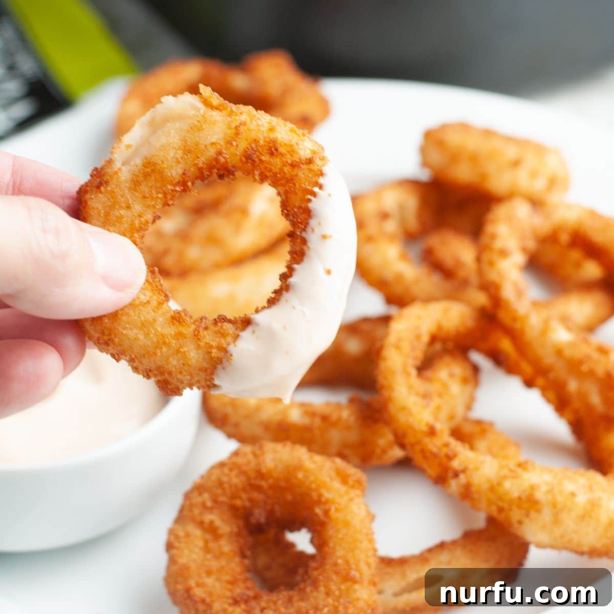Perfect Sides for Chicken Salad 13 Onion ring with sauce on it.