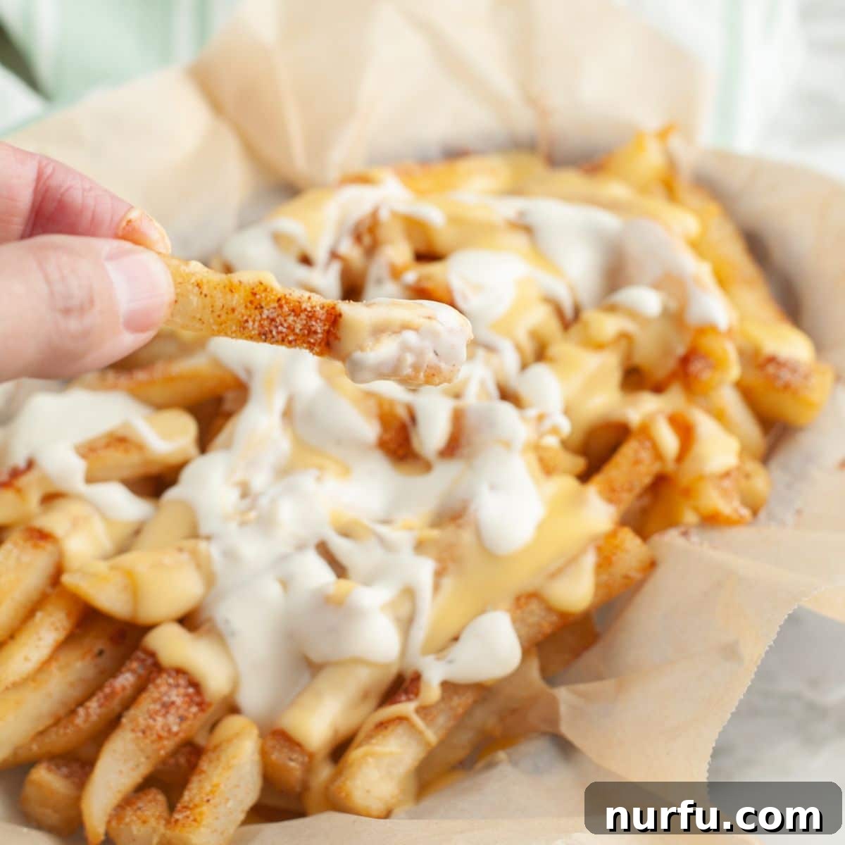 Homemade Wingstop Louisiana Voodoo Fries Magic 8 Hand holding Voodoo fries with cheese sauce.