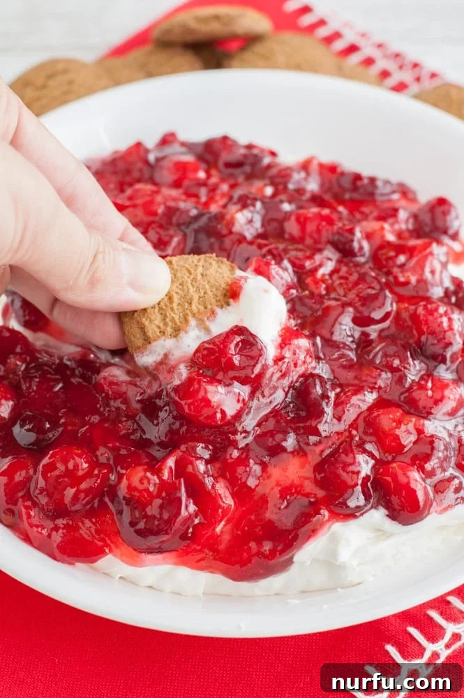 Cranberry Cheesecake Dip with Gingersnap Cranberry cheesecake dip served on a gingersnap cookie, showcasing its creamy texture and vibrant topping.