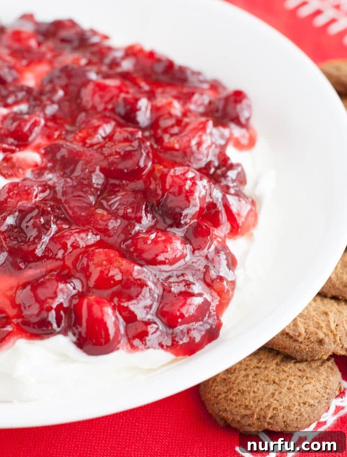 Creamy Cheesecake Dip Base A bowl of creamy cheesecake dip, ready to be topped with cranberry sauce.