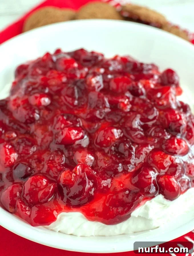Delicious Cranberry Dip Close-up of cranberry cheesecake dip in a bowl with a spoon, highlighting the rich cranberry swirl.